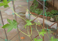Siatka z siatki z tworzywa sztucznego o długości 6,5 stopy Hdpe Garden Leaf Guard Protector Trellis