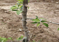 Drzewa z ocynkowanego drutu stalowego o długości 13 cm Użyj narzędzia do naciskania gałęzi drzewa