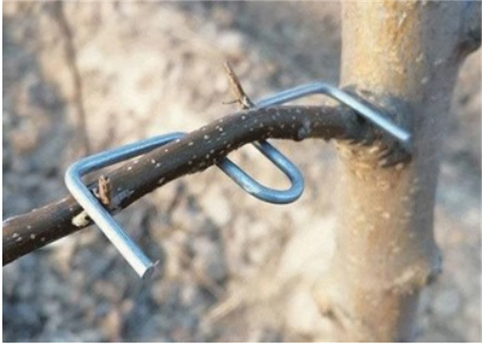 Drzewa z ocynkowanego drutu stalowego o długości 13 cm Użyj narzędzia do naciskania gałęzi drzewa